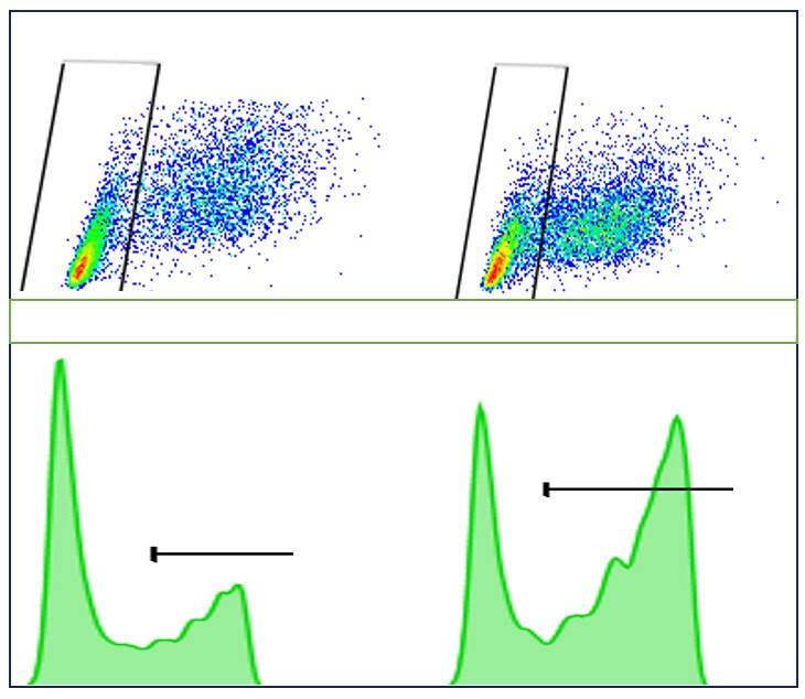 Amine Reactive Comp-Bead 2 Population Kit NBP3-00496